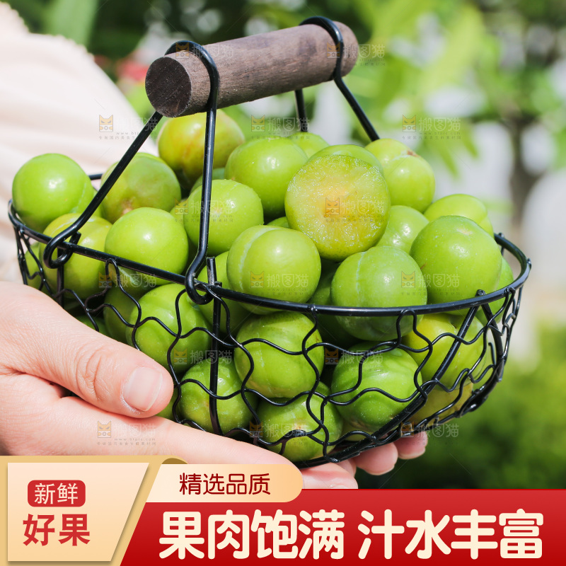 手里端着一篮酸脆三月李