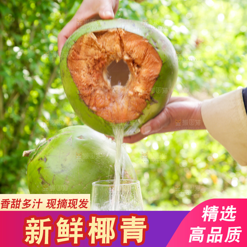 椰子汁倒入杯子中
