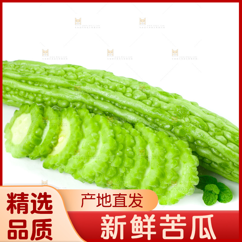 白底上的苦瓜