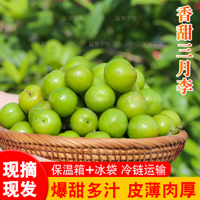 手里端着一篮三月李
