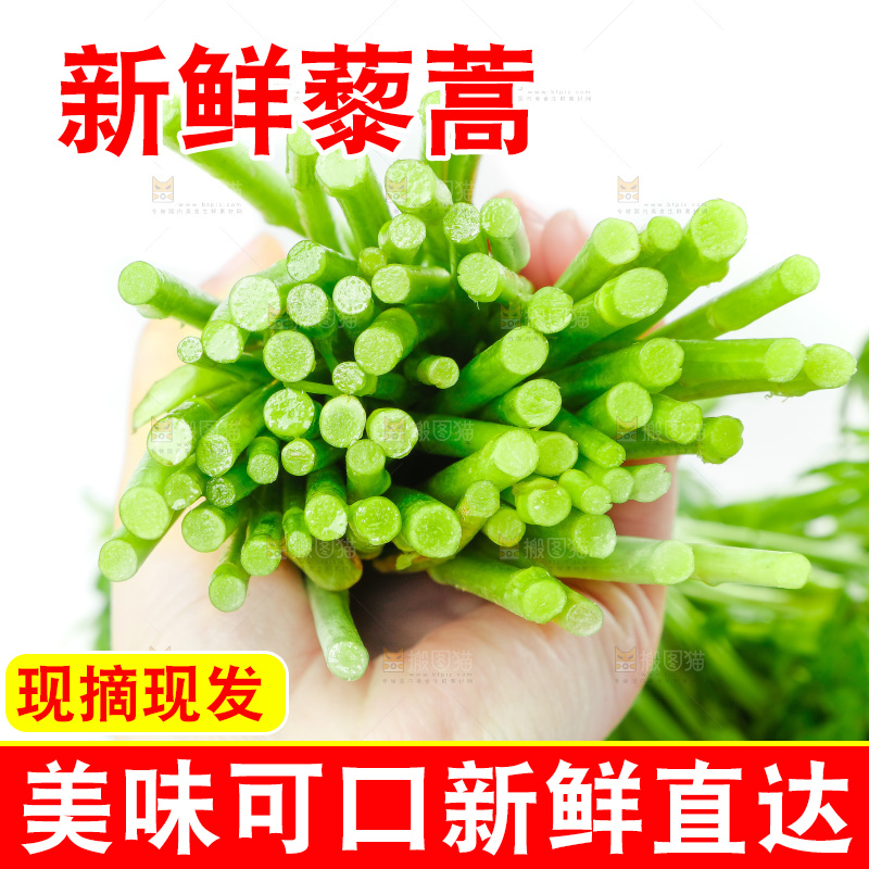 白底上放着藜蒿