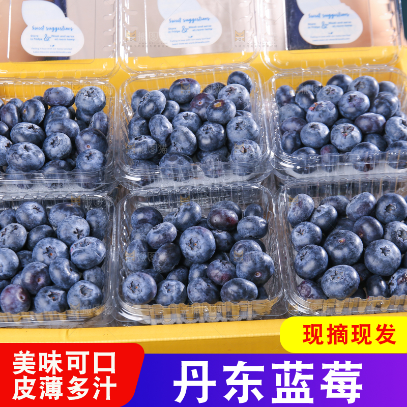 黑底上摆着的新鲜蓝莓