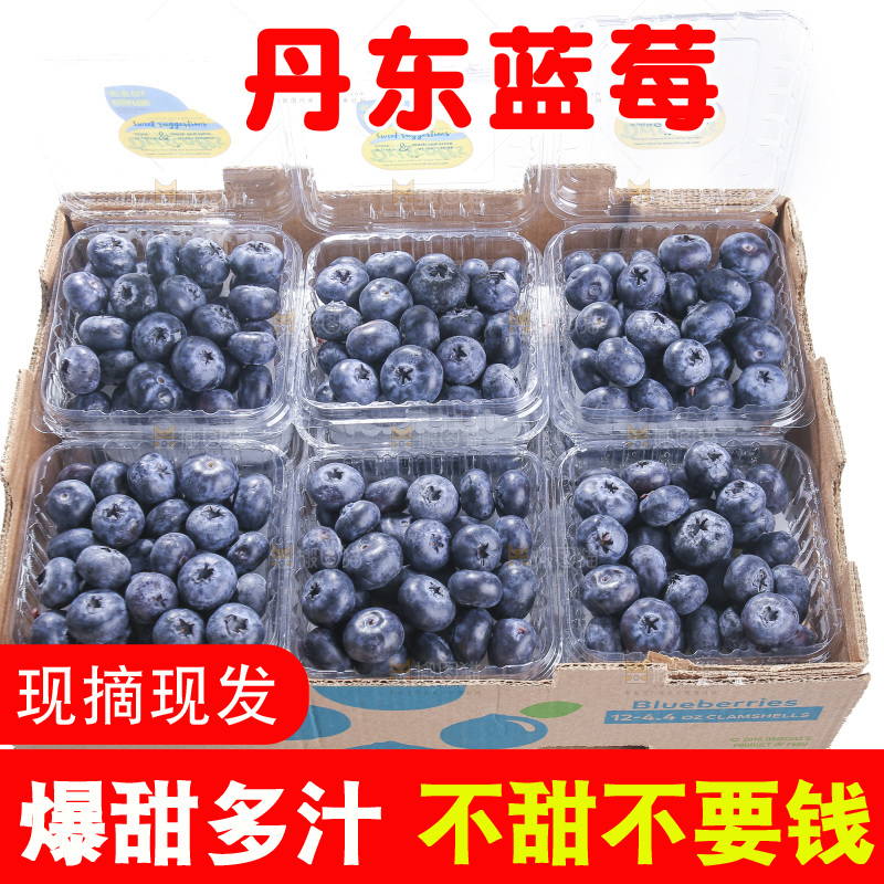 白底上放着的新鲜蓝莓