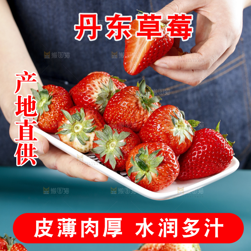 深底上的丹东草莓