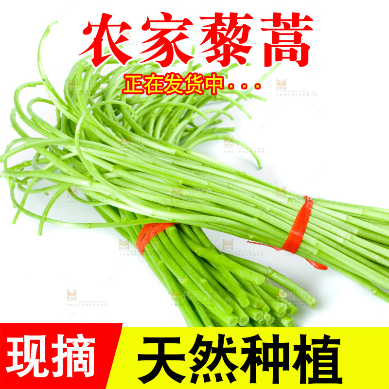 白底上放着藜蒿