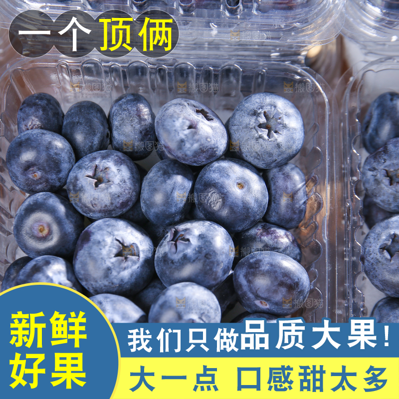 浅底上的新鲜蓝莓