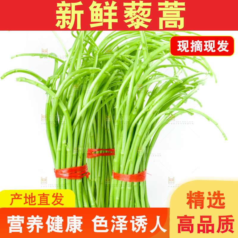 白底上放着藜蒿