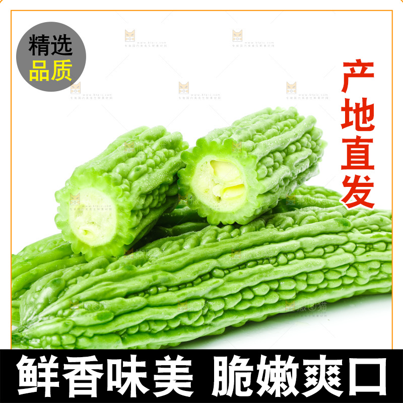 白底上的苦瓜