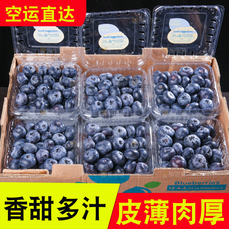 黑底上摆着的新鲜蓝莓