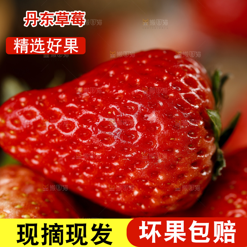 深底上的丹东草莓