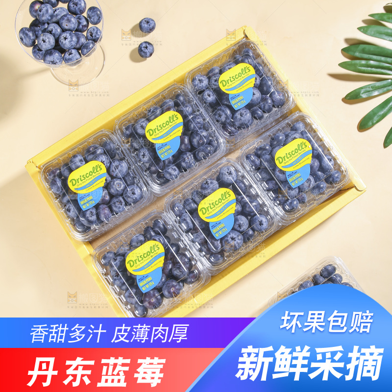 浅底上的新鲜蓝莓