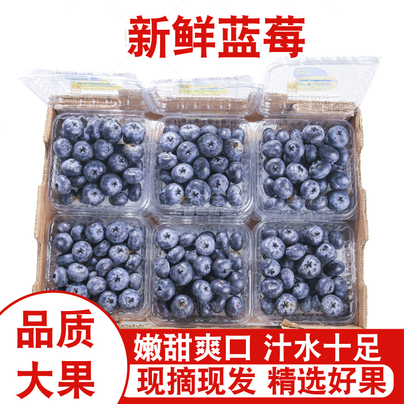 白底上放着的新鲜蓝莓
