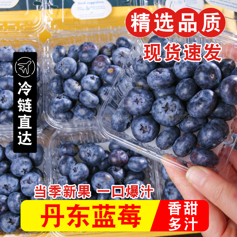 黑底上摆着的新鲜蓝莓