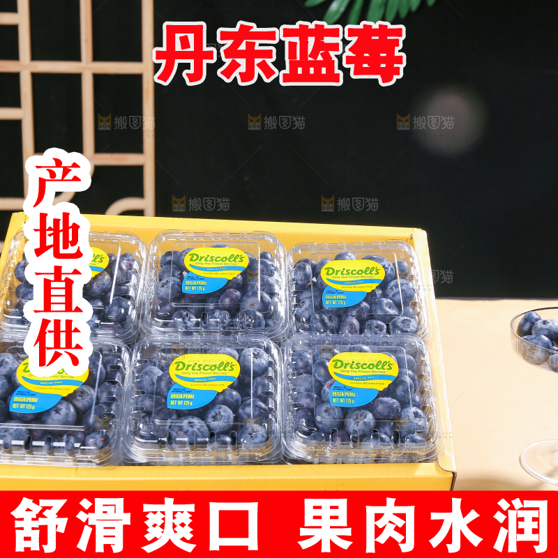 浅底上的新鲜蓝莓