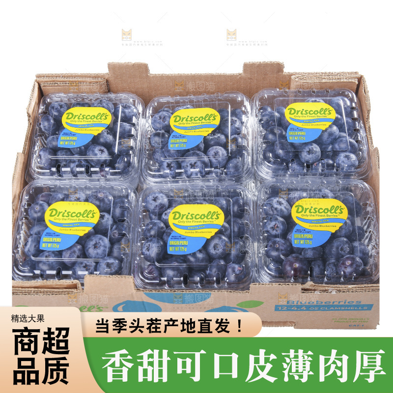 白底上放着的新鲜蓝莓