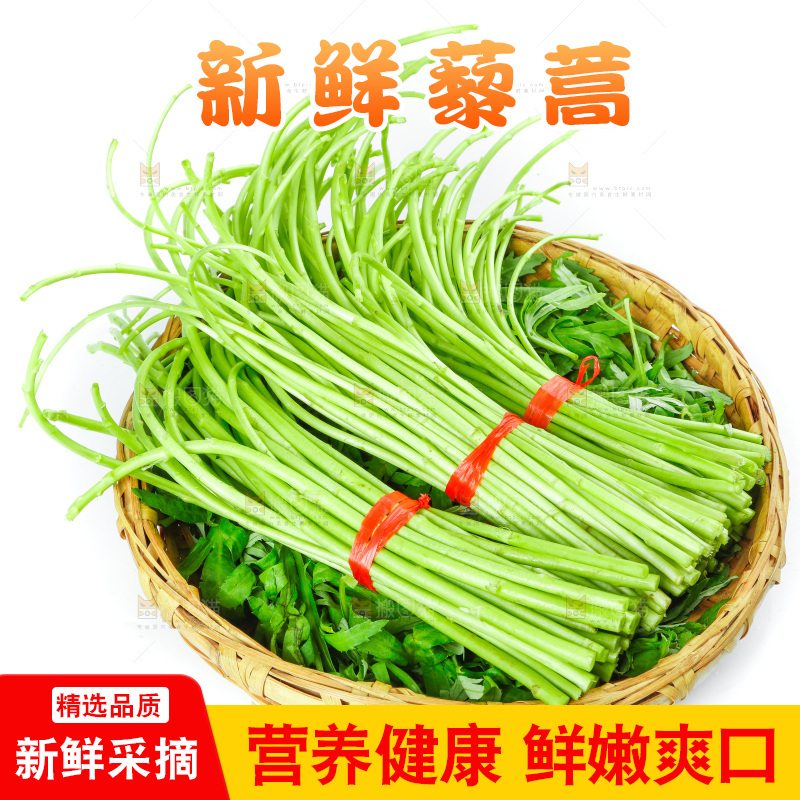 白底上放着藜蒿