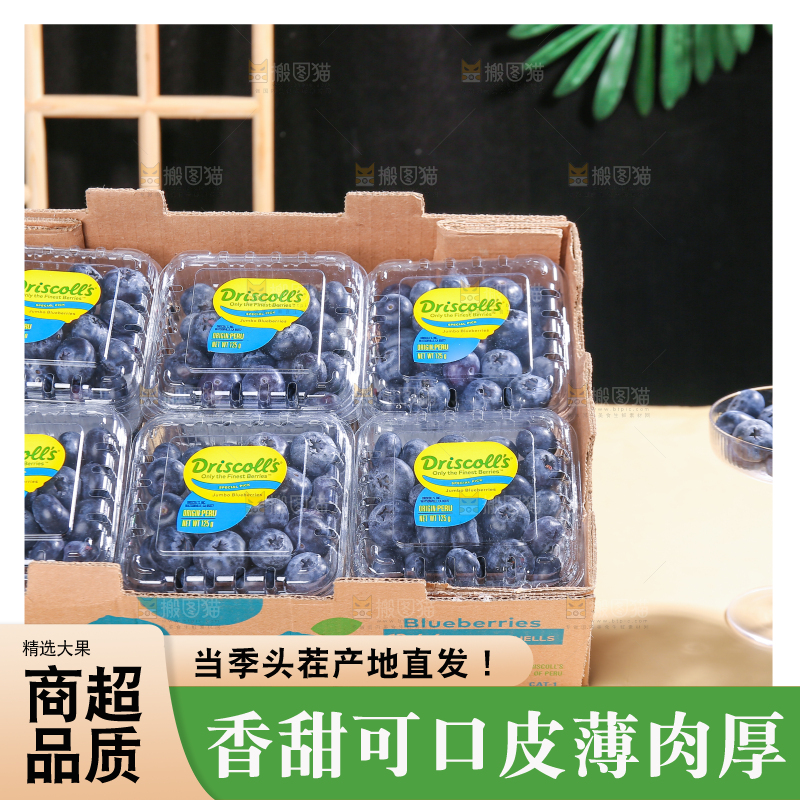 浅底上的新鲜蓝莓