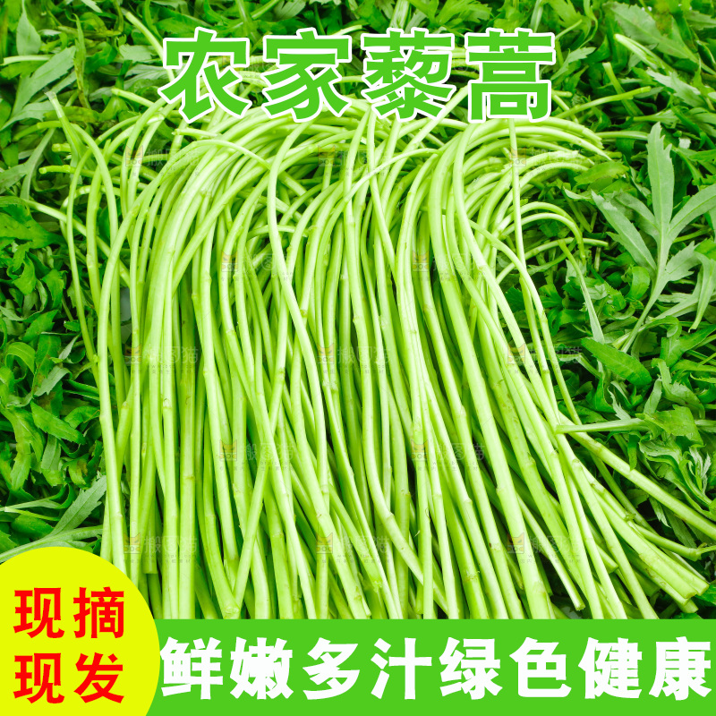 白底上放着藜蒿