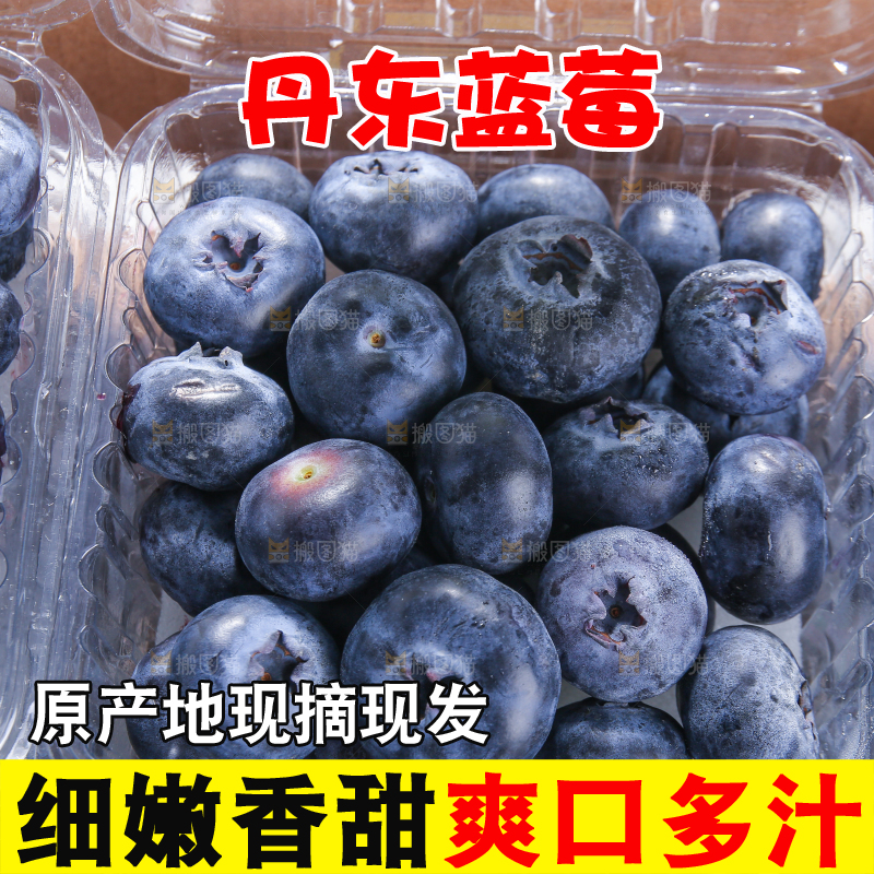 黑底上摆着的新鲜蓝莓