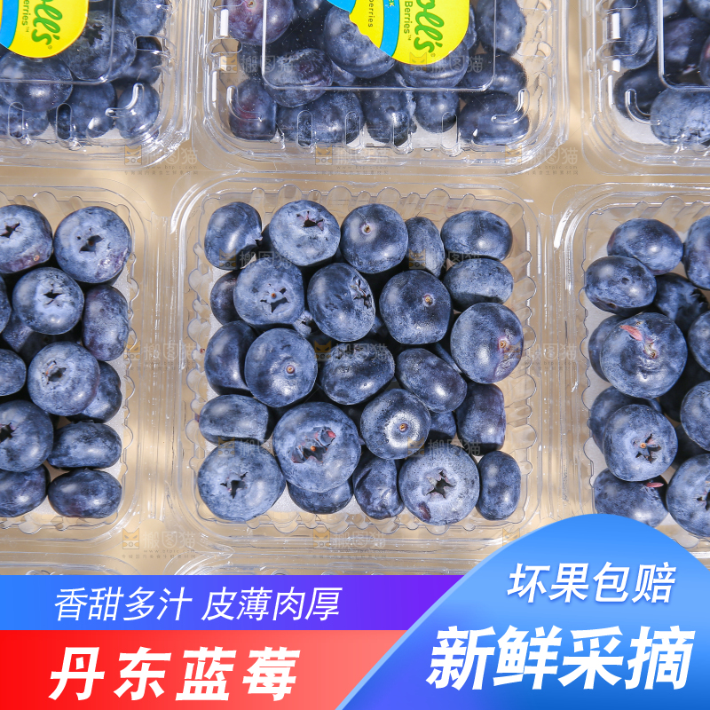 浅底上的新鲜蓝莓