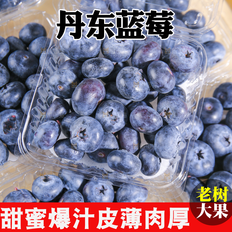 浅底上的新鲜蓝莓