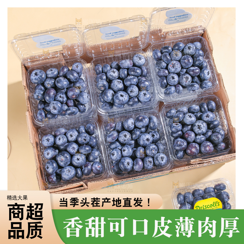 浅底上的新鲜蓝莓