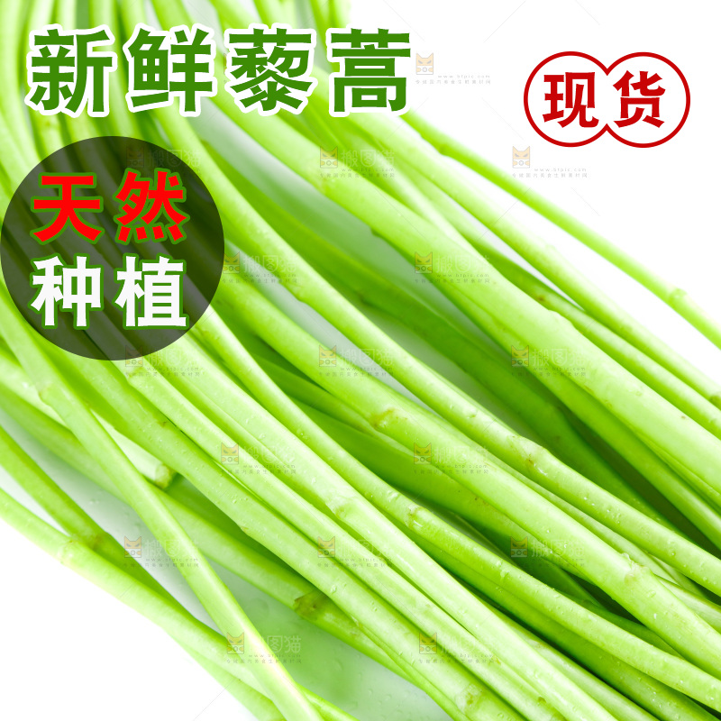 白底上放着藜蒿