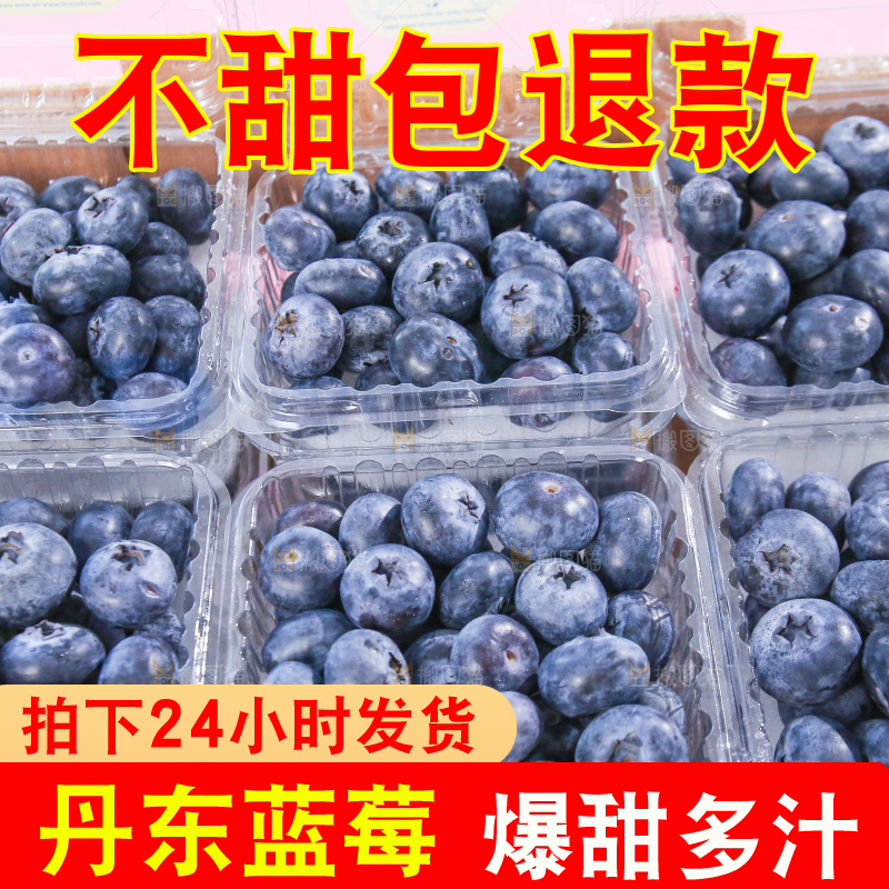 浅底上的新鲜蓝莓