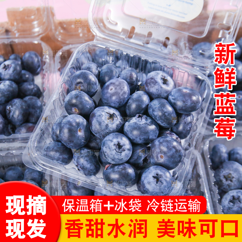 浅底上的新鲜蓝莓