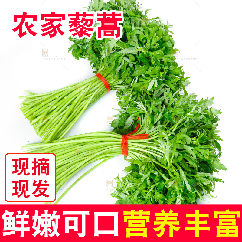 白底上放着藜蒿