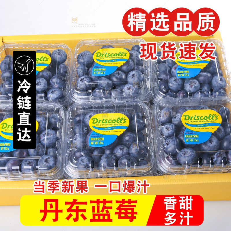 白底上放着的新鲜蓝莓