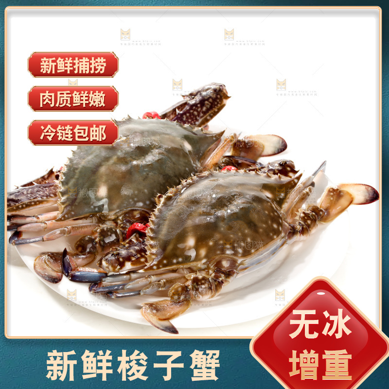 白底上的梭子蟹