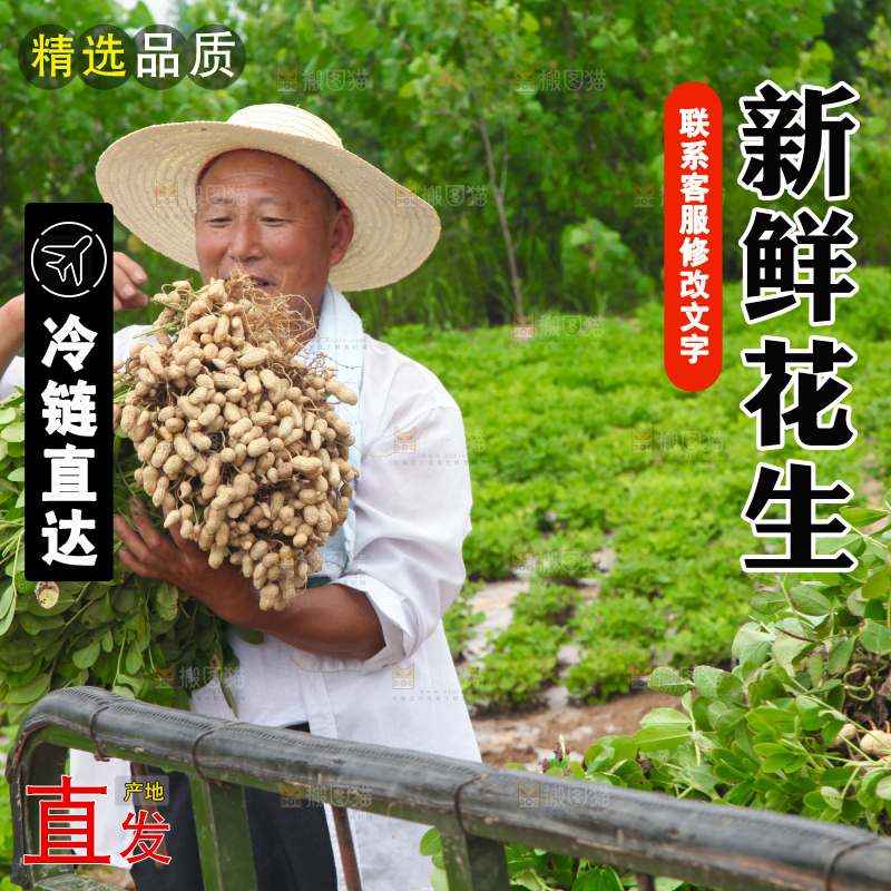 手里拿着现挖花生