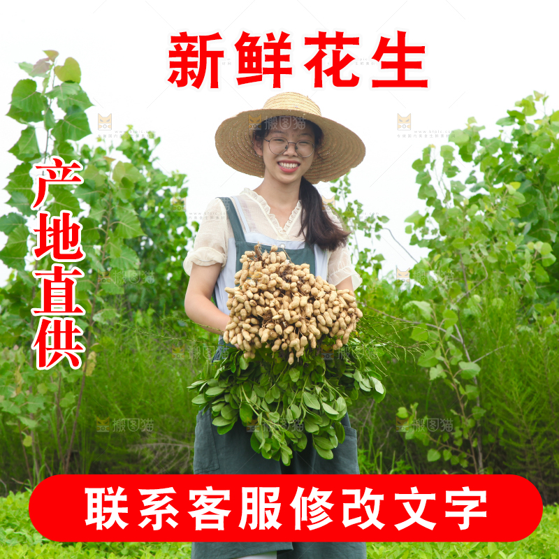 手里拿着现挖花生
