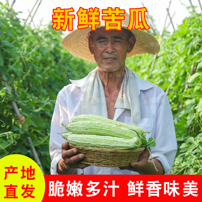 手里拿着新鲜苦瓜