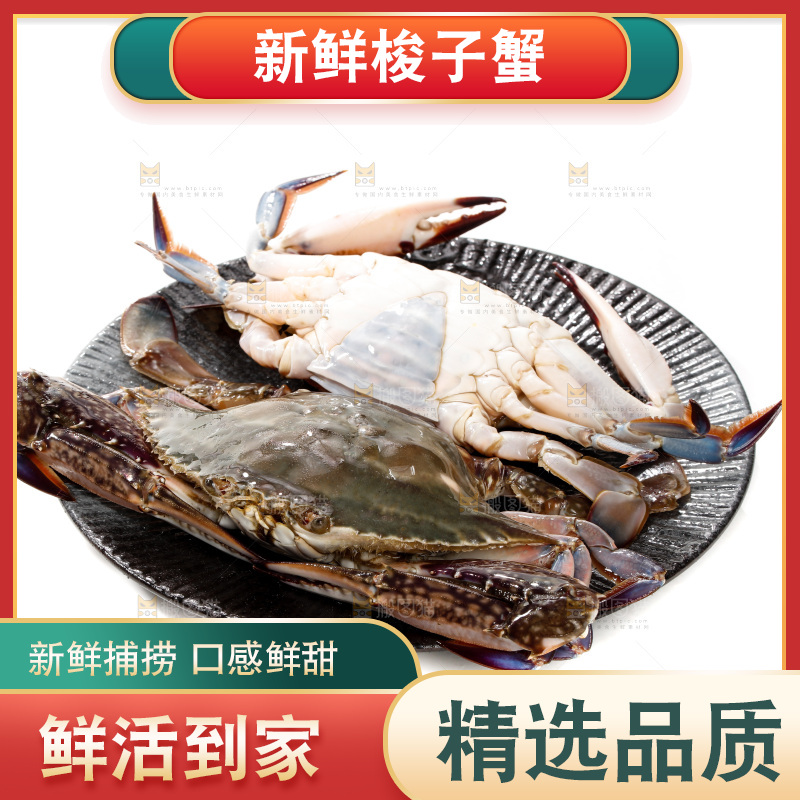 白底上的梭子蟹