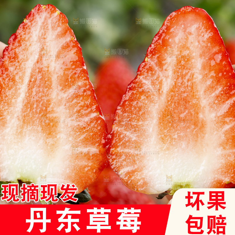深底上的丹东草莓