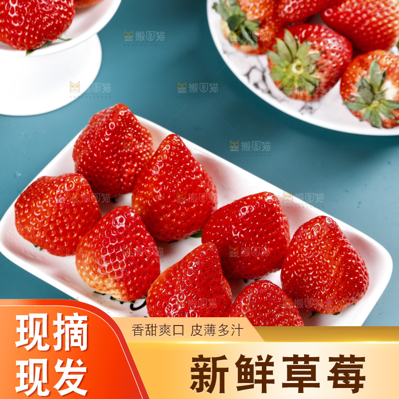 深底上的丹东草莓