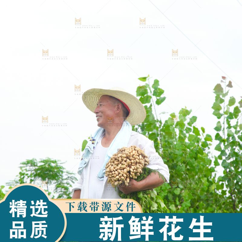 手里拿着现挖花生
