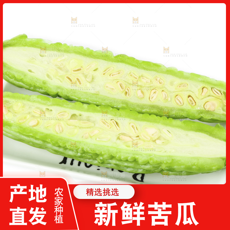 白底上的苦瓜
