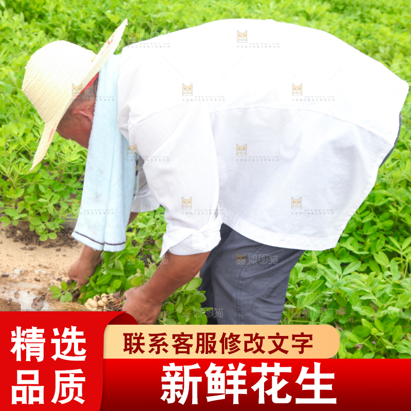 手里拿着现挖花生