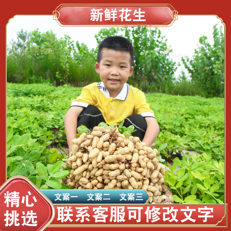 手里拿着现挖花生