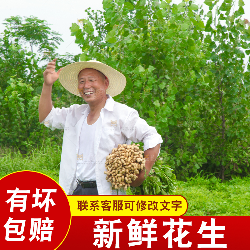 手里拿着现挖花生