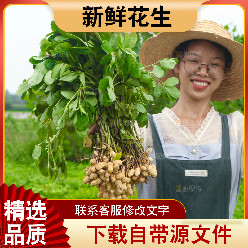 手里拿着现挖花生
