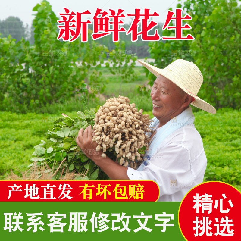 手里拿着现挖花生