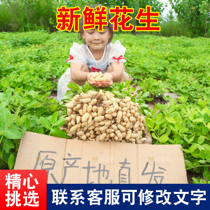 手里拿着现挖花生