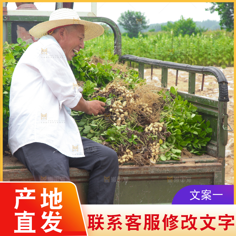 手里拿着现挖花生