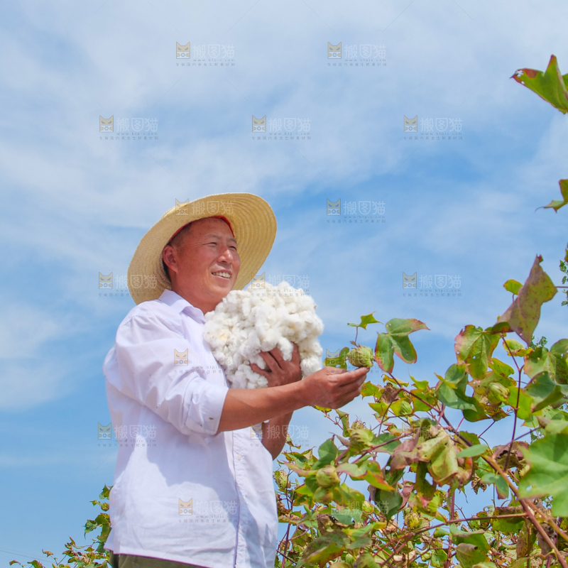 手里拿着棉花