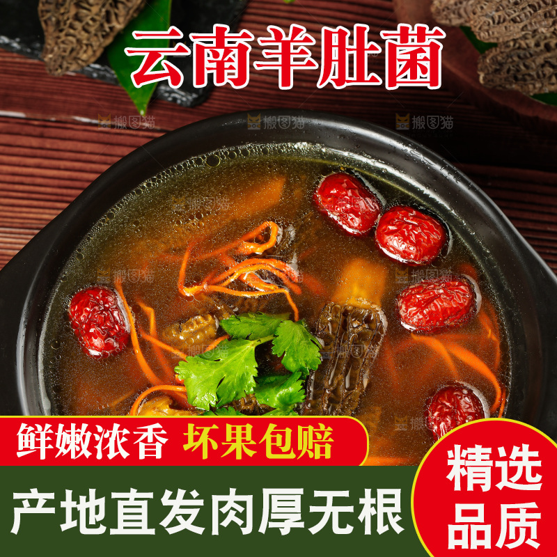 砂锅里的羊肚菌汤