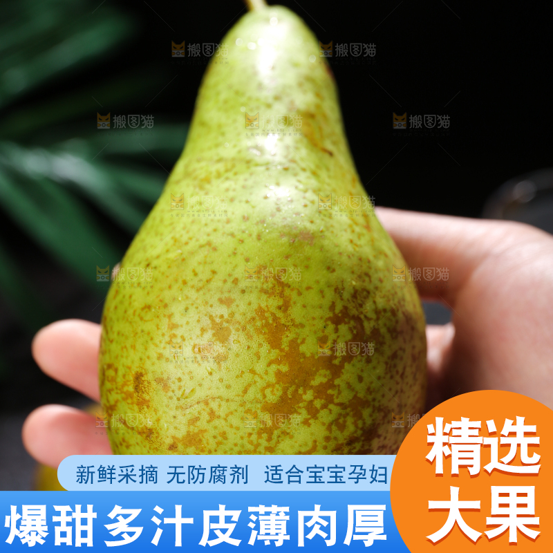 黑底上的进口啤梨